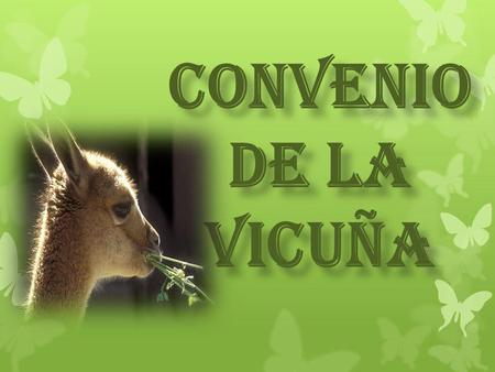 CONVENIO DE LA VICUÑA.