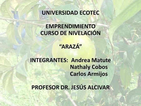 INTEGRANTES: Andrea Matute PROFESOR DR. JESÚS ALCIVAR