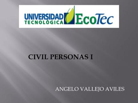 CIVIL PERSONAS I ANGELO VALLEJO AVILES.