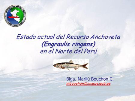 Estado actual del Recurso Anchoveta (Engraulis ringens) en el Norte del Perú Blga. Marilú Bouchon C. mbouchon@imarpe.gob.pe.