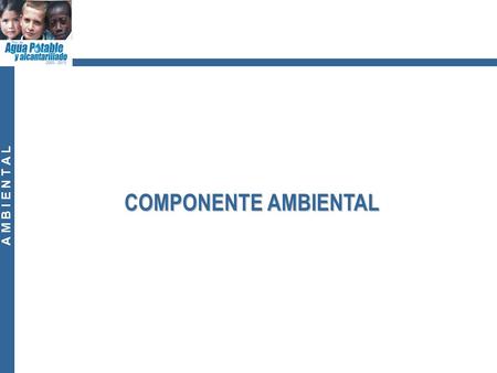 COMPONENTE AMBIENTAL 1 1.