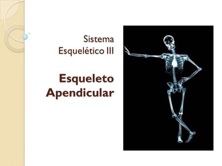 Sistema Esquelético III Esqueleto Apendicular