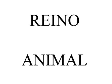 REINO ANIMAL.