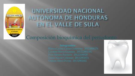 Universidad Nacional Autónoma de Honduras en el Valle de Sula