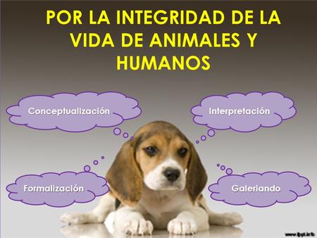 POR LA INTEGRIDAD DE LA VIDA DE ANIMALES Y HUMANOS Interpretación Conceptualización Formalización Galeriando.