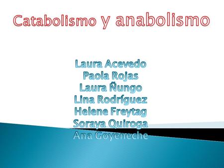Catabolismo y anabolismo