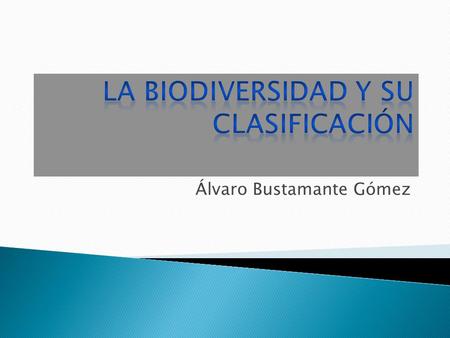 La biodiversidad y su clasificación