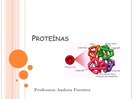 Profesora: Andrea Fuentes