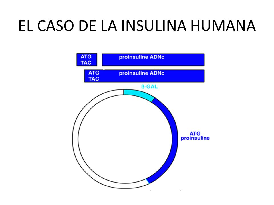 TECNOLOGÍA DEL ADN RECOMBINANTE - ppt video online descargar TECNOLOGÍA DEL ADN RECOMBINANTE - ppt video online descargar