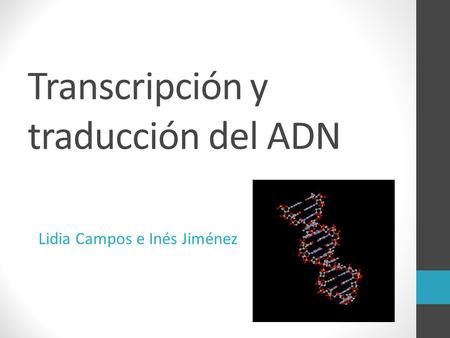 Transcripción y traducción del ADN Lidia Campos e Inés Jiménez.