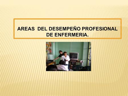 AREAS DEL DESEMPEÑO PROFESIONAL DE ENFERMERIA.. Dentro del equipo de salud la enfermera desempeña un rol indispensable para satisfacer las necesidades.