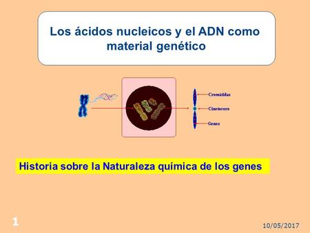 10/05/ Los ácidos nucleicos y el ADN como material genético Historia sobre la Naturaleza química de los genes.