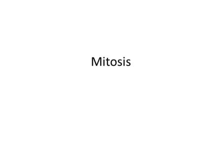 Mitosis. Es el proceso de división por el cual una célula madre forma dos células hijas iguales entre si e idénticas a la que les dio origen, conservando.