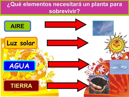 ¿Qué elementos necesitará un planta para sobrevivir? AGUA Luz solar AIRE TIERRA.