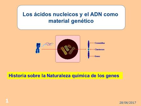 28/06/ Los ácidos nucleicos y el ADN como material genético Historia sobre la Naturaleza química de los genes.