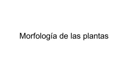 Morfología de las plantas.