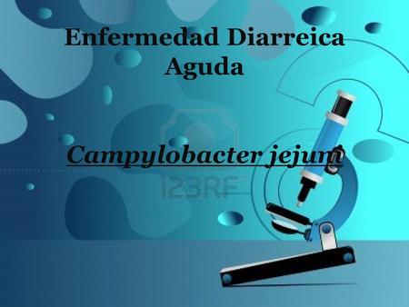 Enfermedad Diarreica Aguda Campylobacter jejuni. Campylobacter jejuni Kampylos, curvado y bacter; varilla (bacilo curvado) Bacilos Gram(-) con forma de.