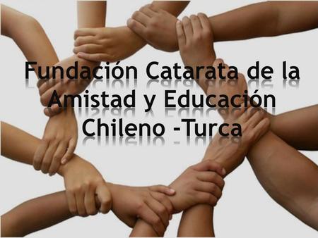 La Fundación Catarata de la Amistad y Educación Chileno Turca fue establecida en 2005 por un grupo de turcos y está dedicada a promover las relaciones,