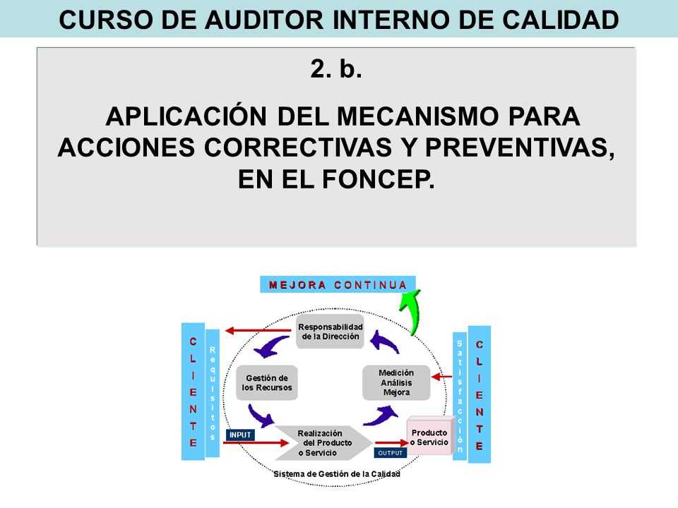 Curso de auditor