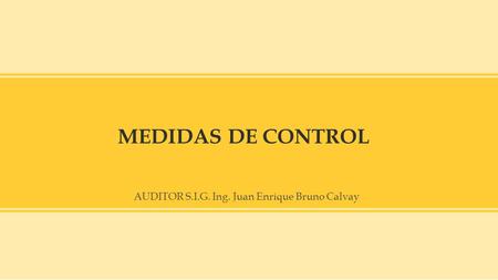 MEDIDAS DE CONTROL AUDITOR S.I.G.
.