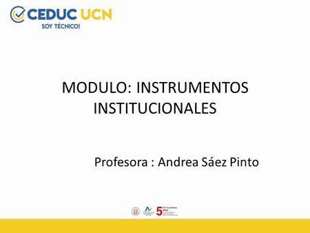 MODULO: INSTRUMENTOS INSTITUCIONALES Profesora : Andrea Sáez Pinto.