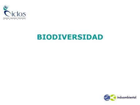 BIODIVERSIDAD.  Introducción  Biodiversidad: características y funciones  Servicios de los ecosistemas  Peligros y amenazas a la biodiversidad  Estrategias.
