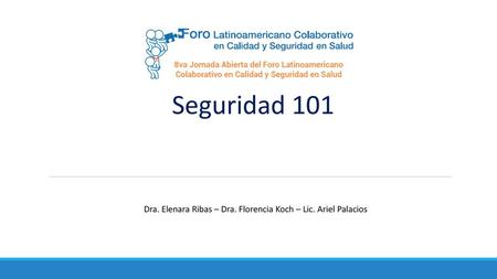 Seguridad 101 Dra. Elenara Ribas – Dra. Florencia Koch – Lic. Ariel Palacios.