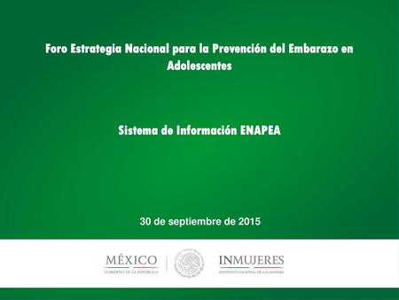 Sistema de Información ENAPEA