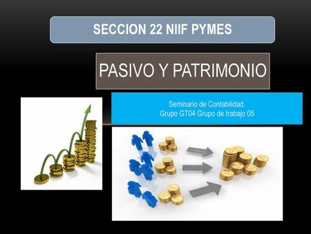 PASIVO Y PATRIMONIO SECCION 22 NIIF PYMES Seminario de Contabilidad.