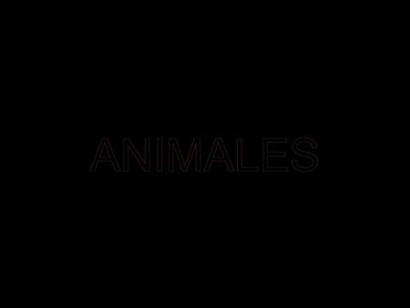 ANIMALES.