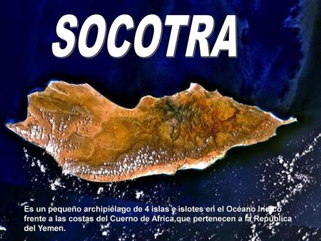 SOCOTRA Socotra Es un pequeño archipiélago de 4 islas e islotes en el Océano Indico frente a las costas del Cuerno de Africa,que pertenecen a la República.