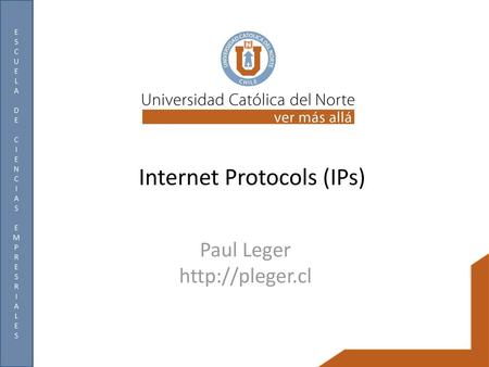 Internet Protocols (IPs)