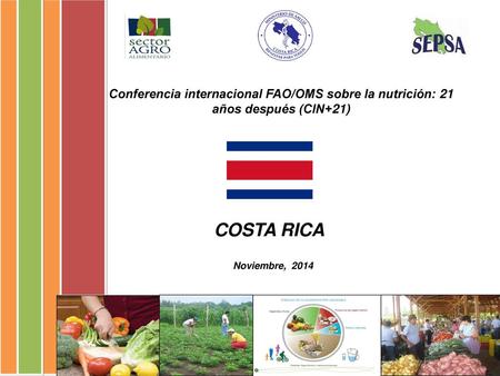 Noviembre, 2014 Conferencia internacional FAO/OMS sobre la nutrición: 21 años después (CIN+21) COSTA RICA.