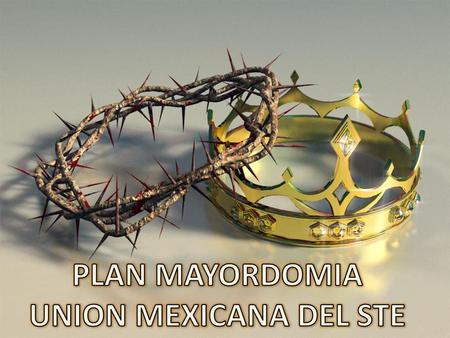 PLAN MAYORDOMIA UNION MEXICANA DEL STE.