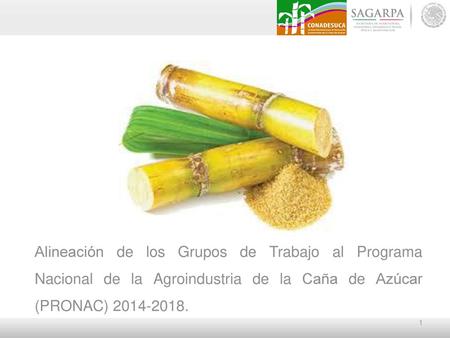 Alineación de los Grupos de Trabajo al Programa Nacional de la Agroindustria de la Caña de Azúcar (PRONAC) 2014-2018. 1.