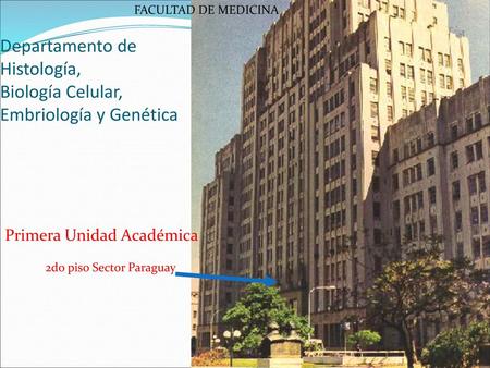 Departamento de Histología, Biología Celular, Embriología y Genética