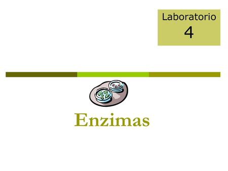 Laboratorio 4 Enzimas.