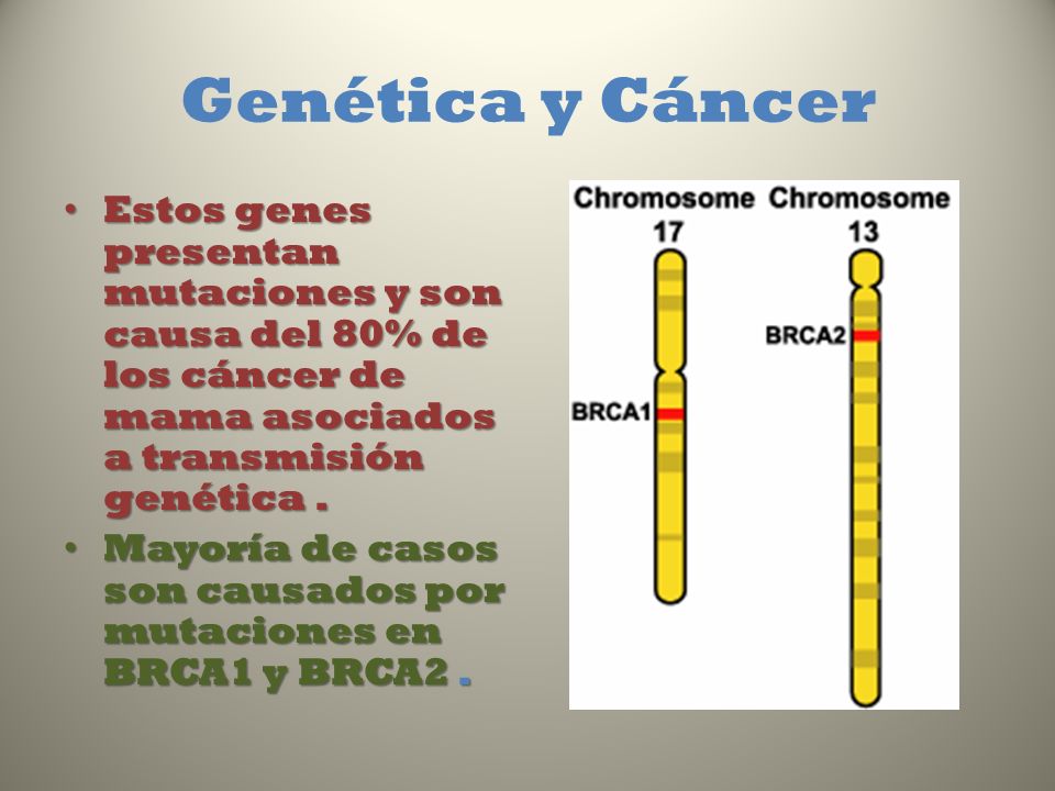 Cáncer DE MAMA PREVENCIóN FACTORES DE RIESGO DIAGNóSTiCO Cáncer DE MAMA PREVENCIóN FACTORES DE RIESGO DIAGNóSTiCO