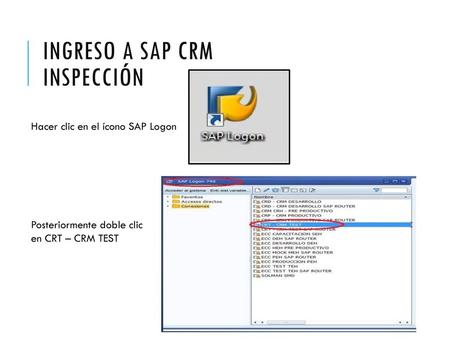 INGRESO A SAP CRM INSPECCIÓN
