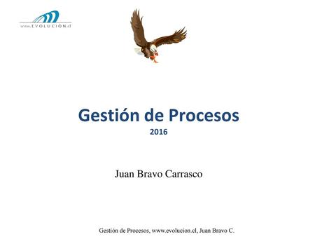 2013 Gestión de Procesos 2016 Juan Bravo Carrasco