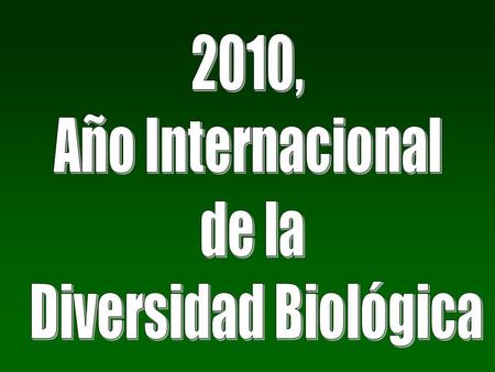 2010, Año Internacional de la Diversidad Biológica.