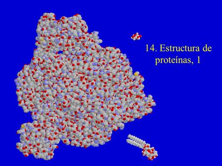 14. Estructura de proteínas, 1.