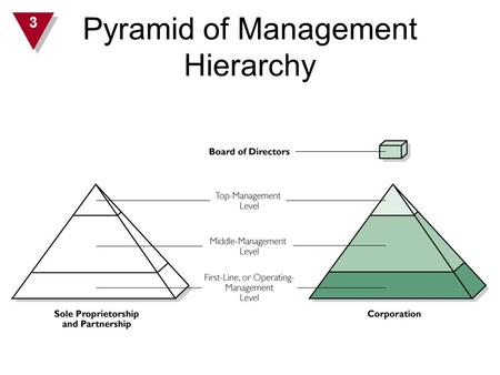 Pyramid of Management Hierarchy