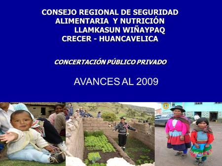 AVANCES AL 2009 CONSEJO REGIONAL DE SEGURIDAD ALIMENTARIA Y NUTRICIÓN