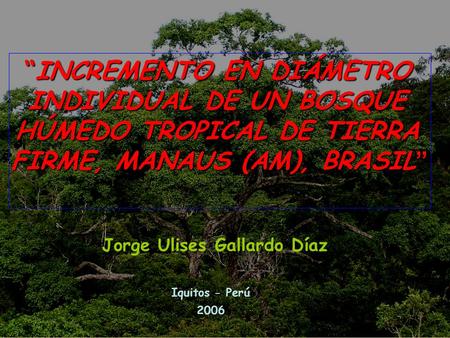 “INCREMENTO EN DIÁMETRO INDIVIDUAL DE UN BOSQUE HÚMEDO TROPICAL DE TIERRA FIRME, MANAUS (AM), BRASIL” Jorge Ulises Gallardo Díaz Iquitos - Perú 2006.