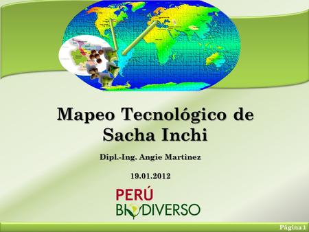 Mapeo Tecnológico de Sacha Inchi