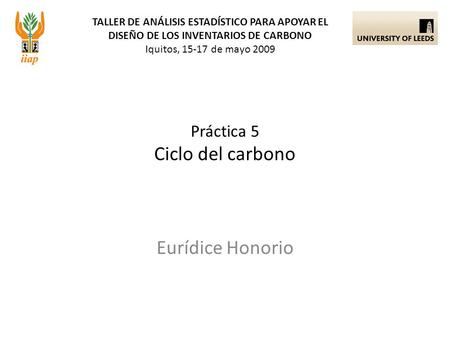 TALLER DE ANÁLISIS ESTADÍSTICO PARA APOYAR EL DISEÑO DE LOS INVENTARIOS DE CARBONO Iquitos, 15-17 de mayo 2009 Eurídice Honorio Práctica 5 Ciclo del carbono.