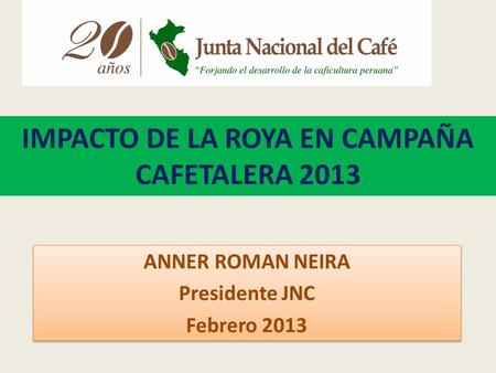 IMPACTO DE LA ROYA EN CAMPAÑA CAFETALERA 2013