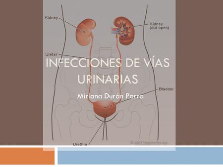 Infecciones de vías urinarias