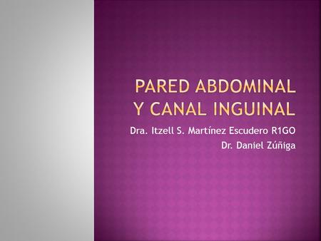 Pared abdominal y canal inguinal